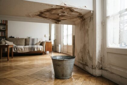Tache d'eau brune au plafond, gouttes tombant dans un seau posé sur le parquet, mur marqué par l'humidité